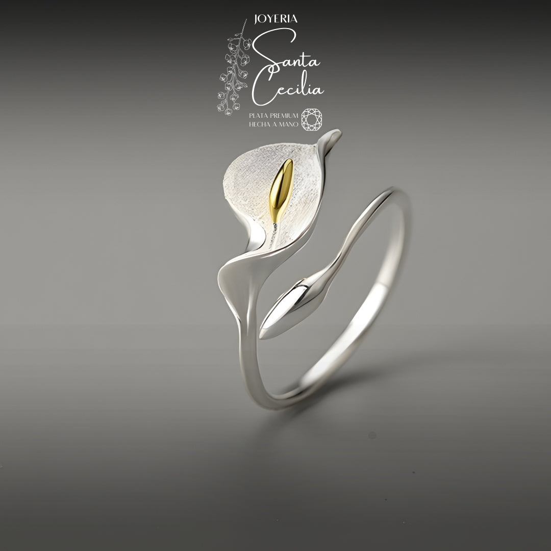 Anillo Cartuchos Cerrados