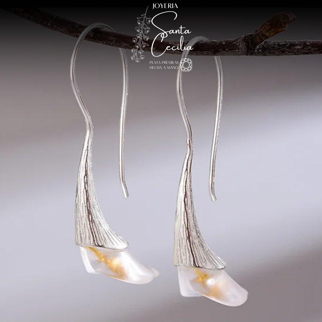 Juego Cartuchos de Cristal