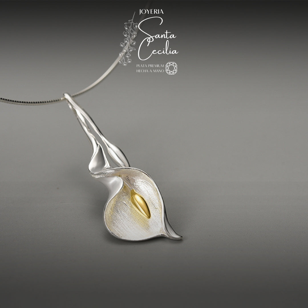 Juego Cartuchos Cerrados