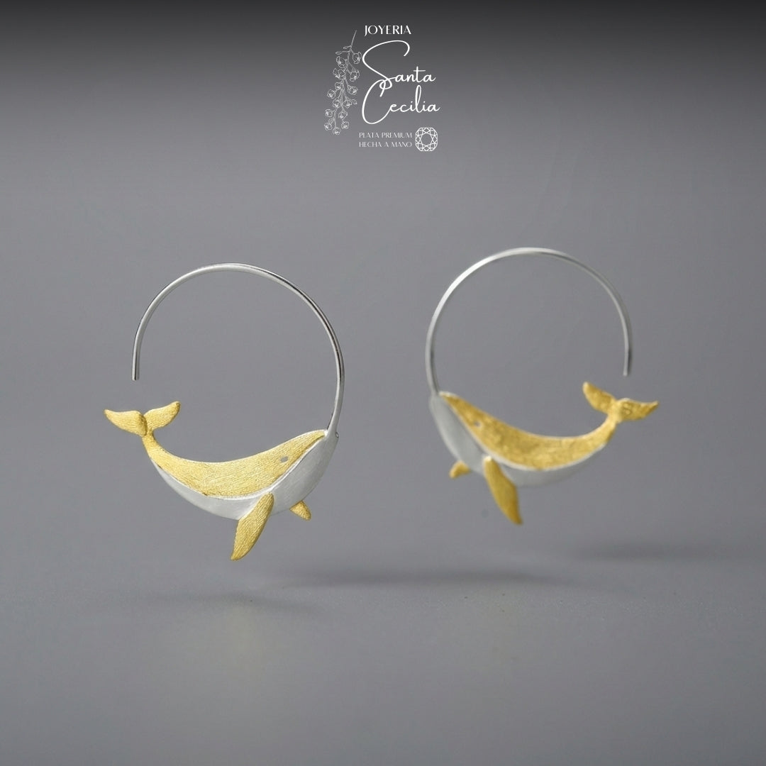 Argollas Ballenitas