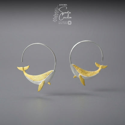 Argollas Ballenitas