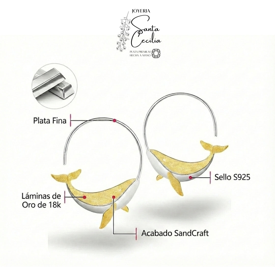 Argollas Ballenitas