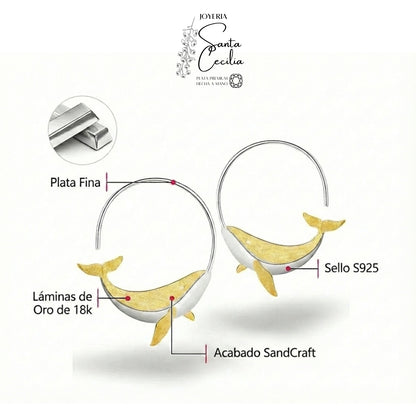 Argollas Ballenitas