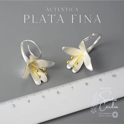 Aretes con Forma de Cartuchos V1