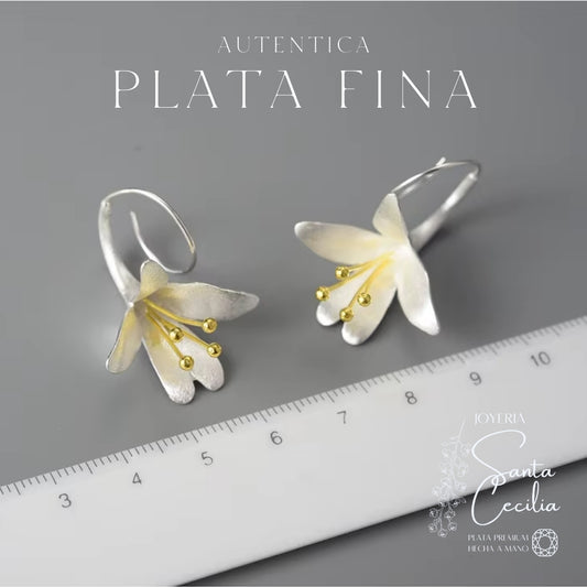 Aretes con Forma de Cartuchos V1