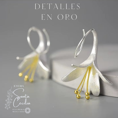 Aretes con Forma de Cartuchos V1
