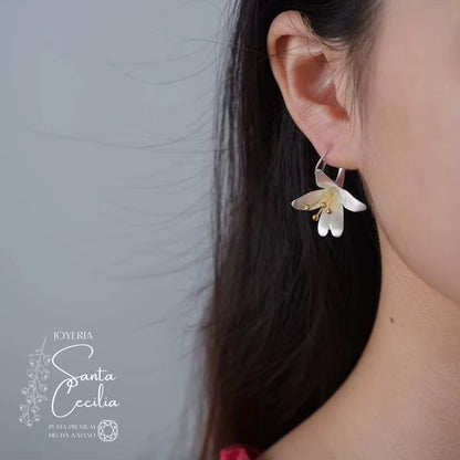 Aretes con Forma de Cartuchos V1