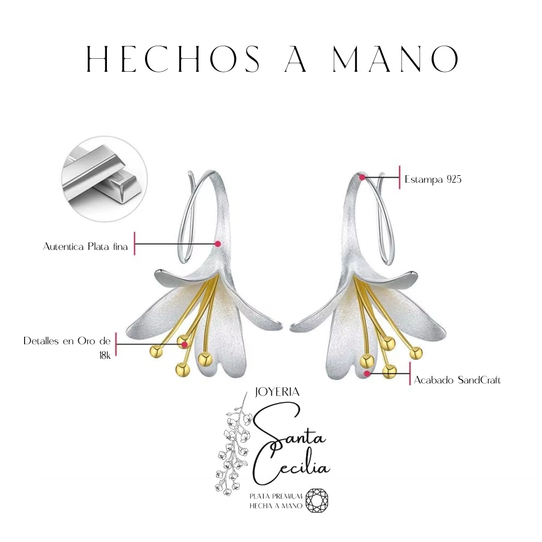 Aretes con Forma de Cartuchos V1