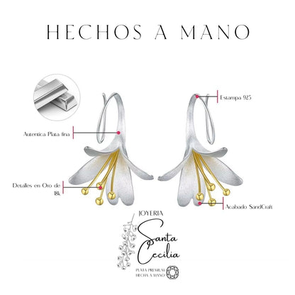Aretes con Forma de Cartuchos V1