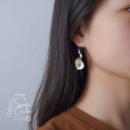 Aretes Cartuchos Cerrados