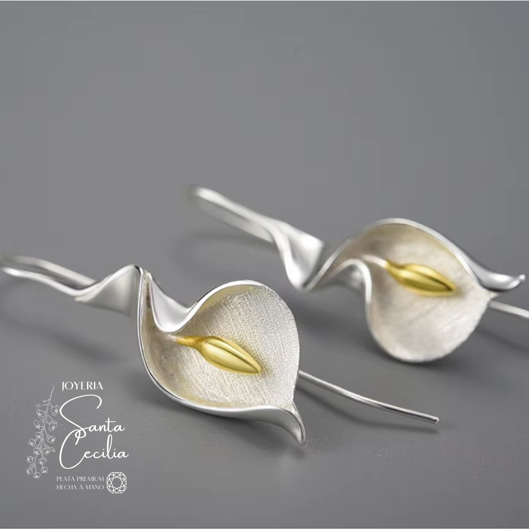 Aretes Cartuchos Cerrados
