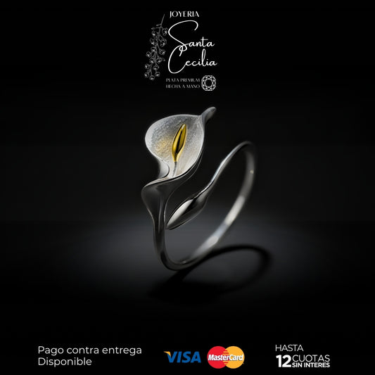 Anillo Cartuchos Cerrados