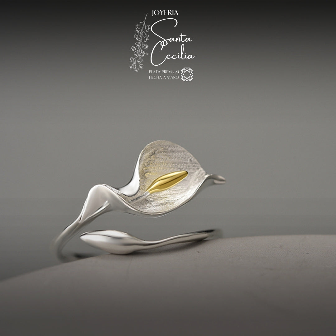 Anillo Cartuchos Cerrados