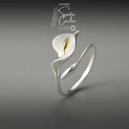 Anillo Cartuchos Cerrados