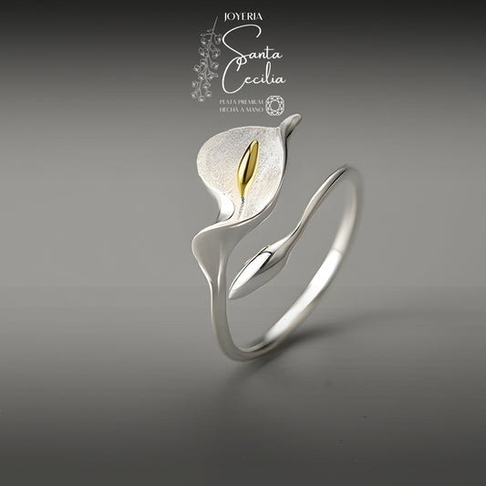 Anillo Cartuchos Cerrados